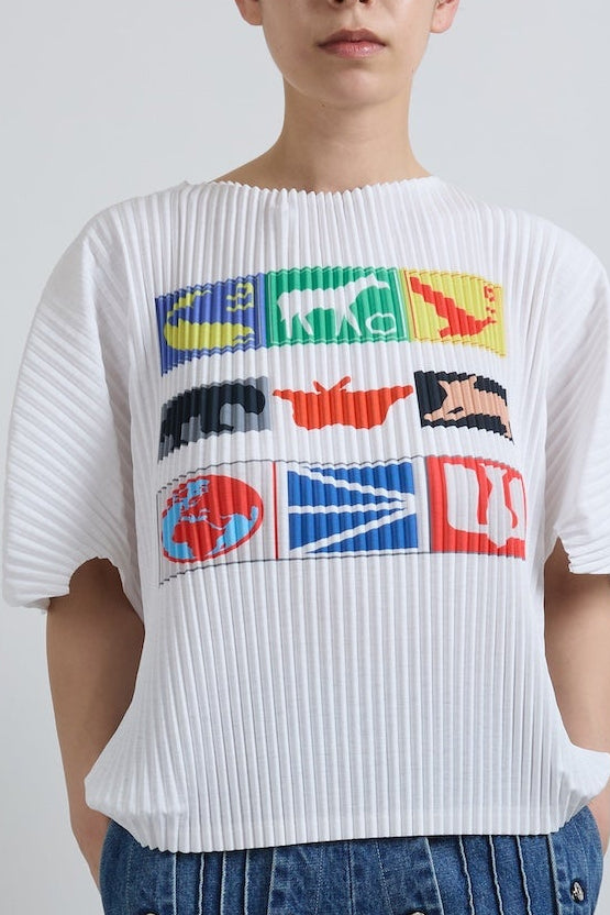 Graphic Pleats T-shirt (Large)