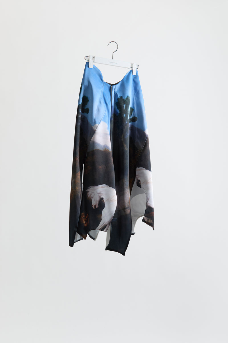Reconstructed Skirt (Print)